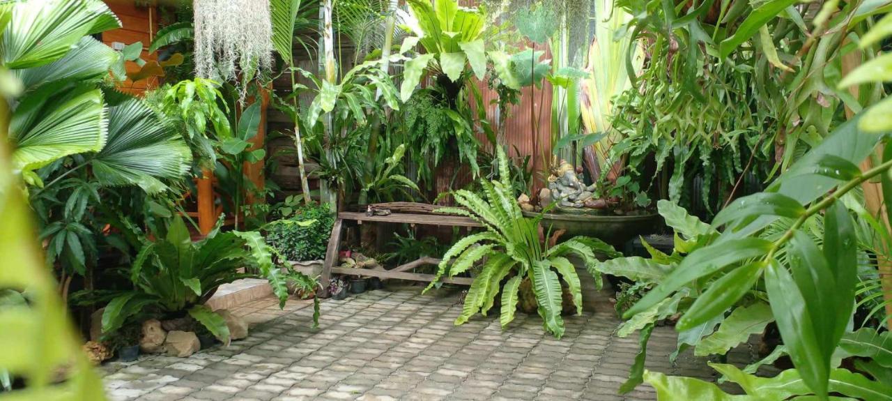 Ouychai Resort Home Stay เชียงใหม่ ภายนอก รูปภาพ