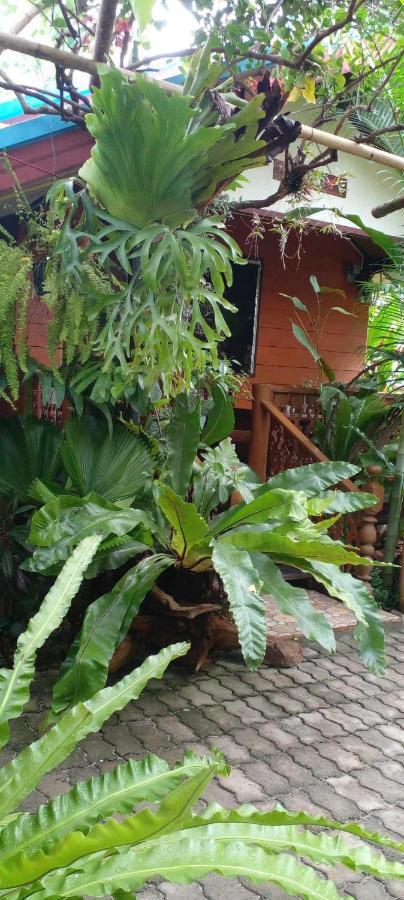 Ouychai Resort Home Stay เชียงใหม่ ภายนอก รูปภาพ